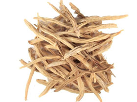 White Musli